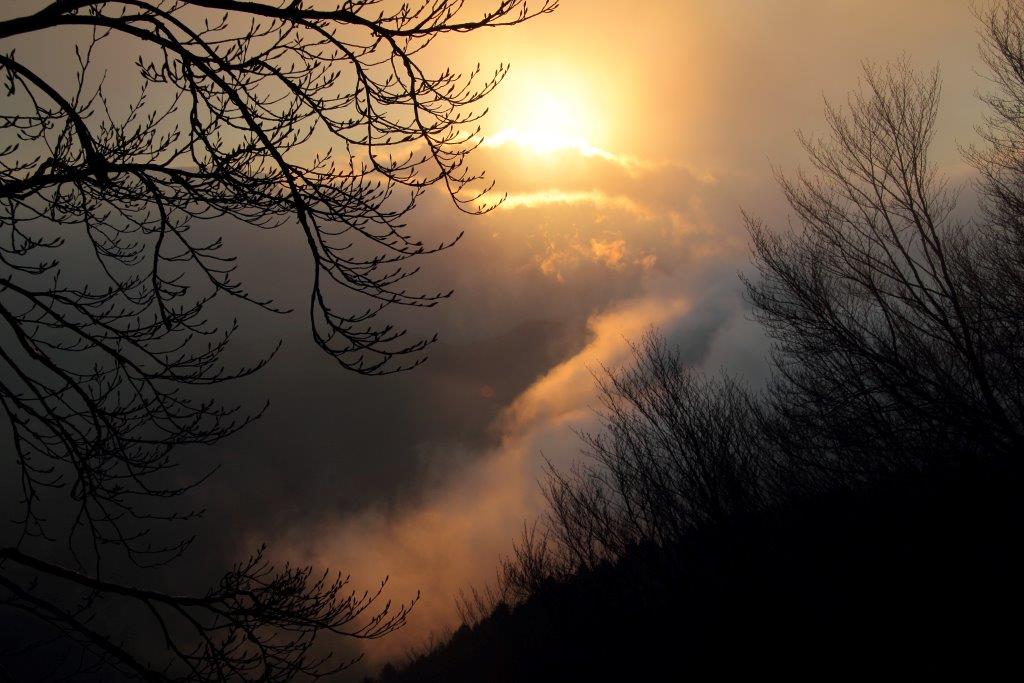 Alba al Parco Nazionale delle Foreste Casentinesi